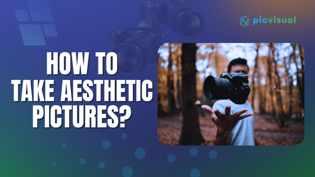 How To Take Aesthetic Pictures